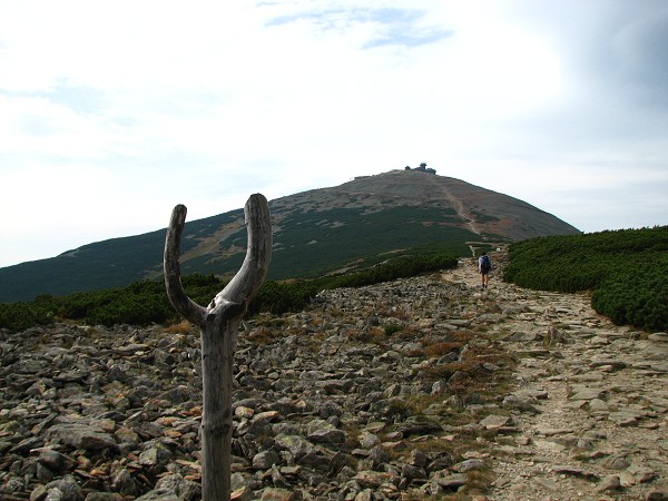 KRKONOŠE - SNĚŽKA 1602 M